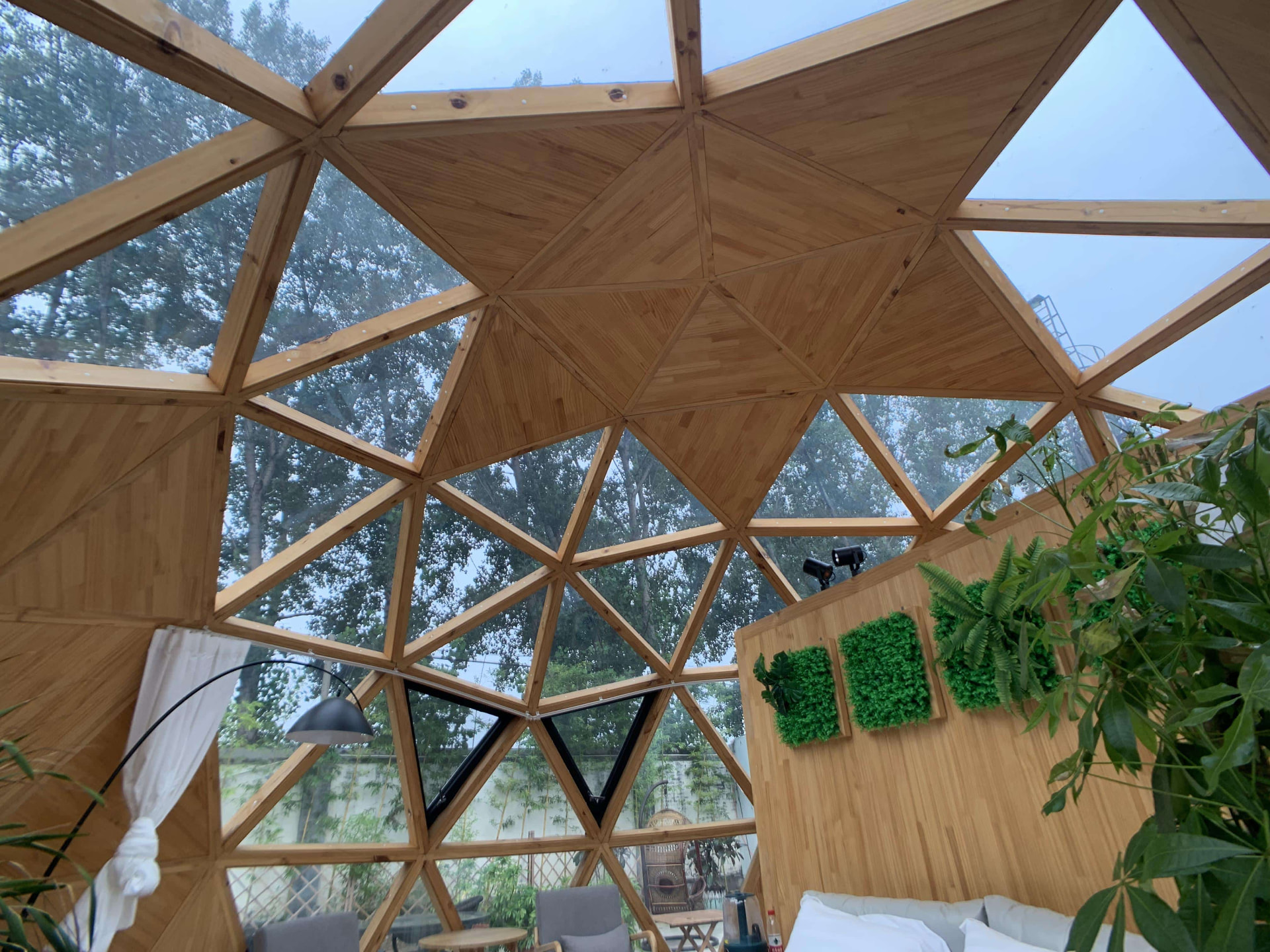 Real Solaris dome pod ceiling structure with wooden beams, triangular glazing and indoor planting